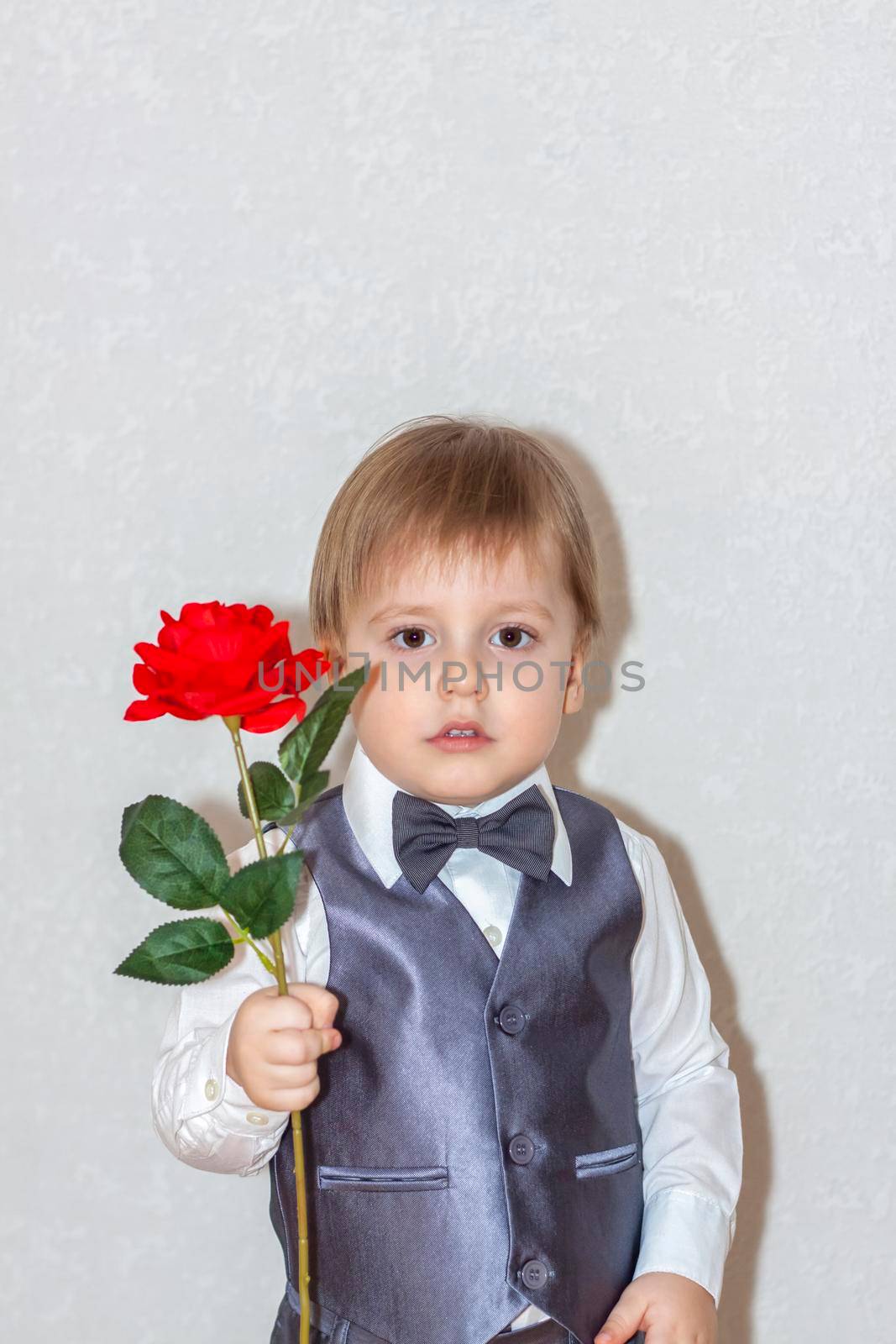 A little boy holds and hands over a red rose, the concept of the Valentine's Day theme. Portrait of a cute boy in a suit with a bow tie. Valentine's Day. 