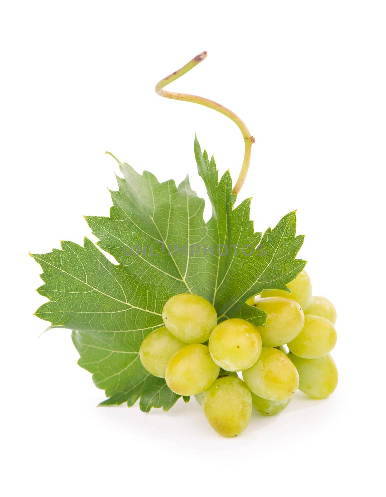 Green grape with leaves isolated on white. With clipping path. Full depth of field. by aprilphoto