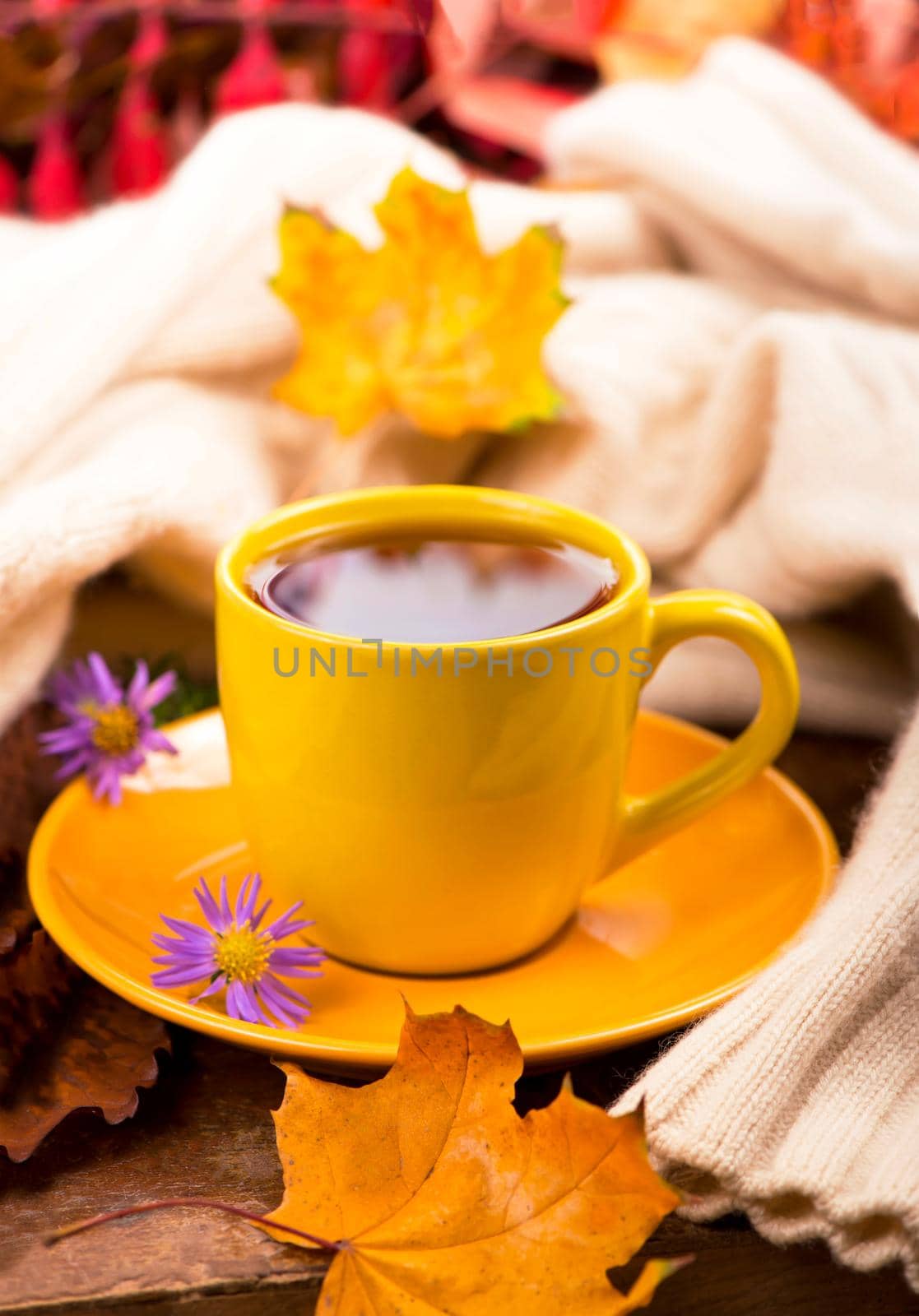 cup of hot tea and autumn leaves by aprilphoto