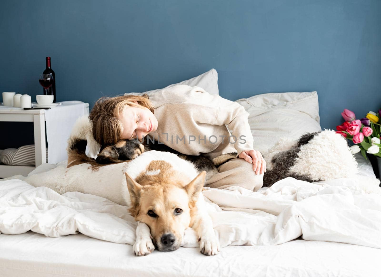 Happy young woman sitting in the bed playing with her dogs by Desperada