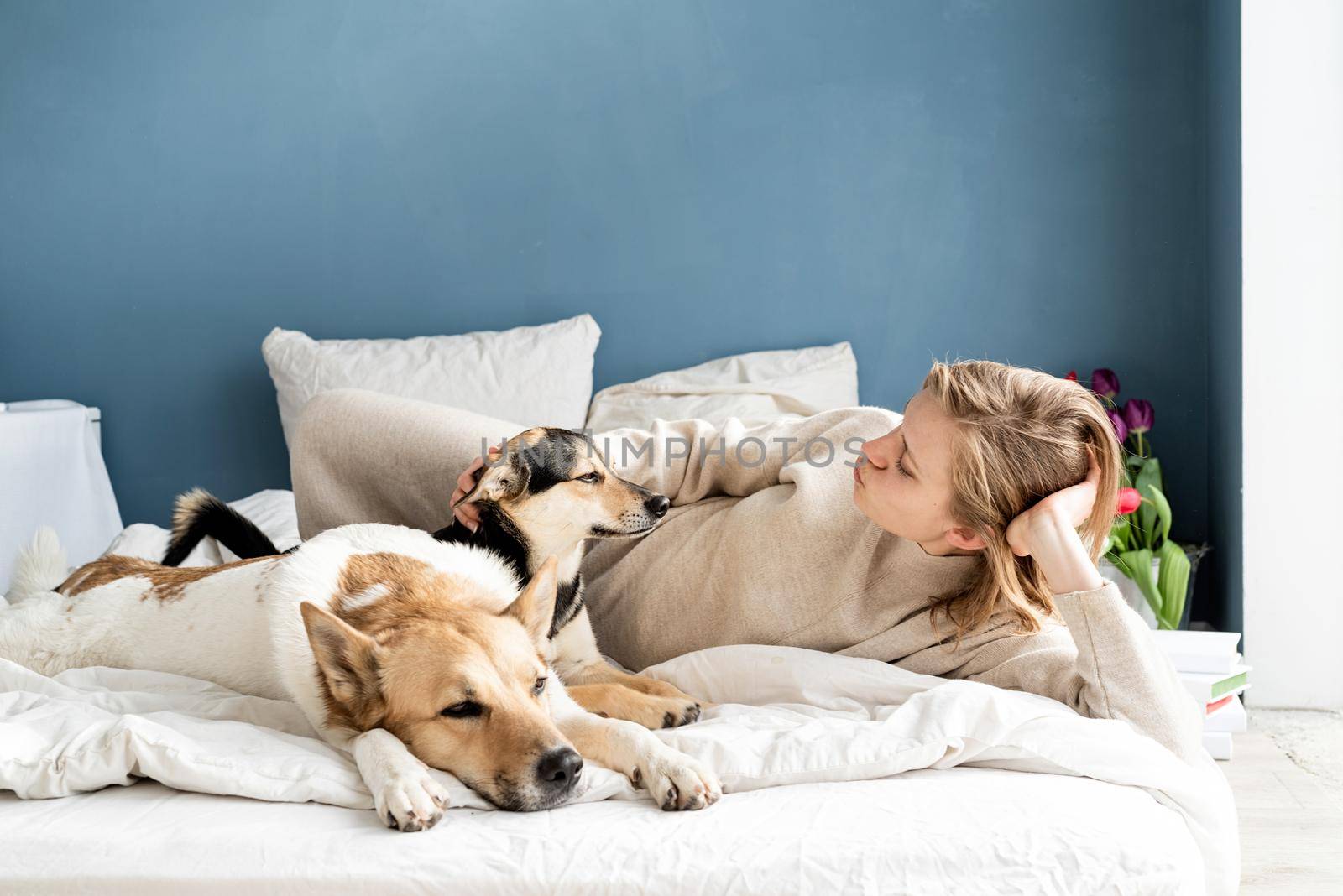 Happy young woman lying in the bed with her dogs by Desperada
