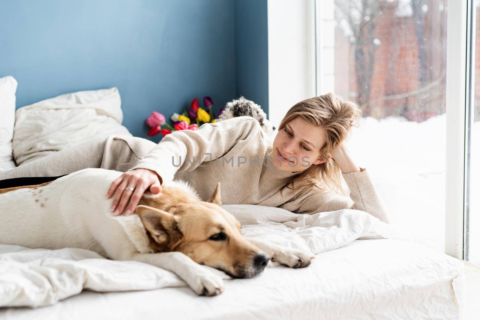 Happy young woman lying in the bed with her dogs, blue wall background