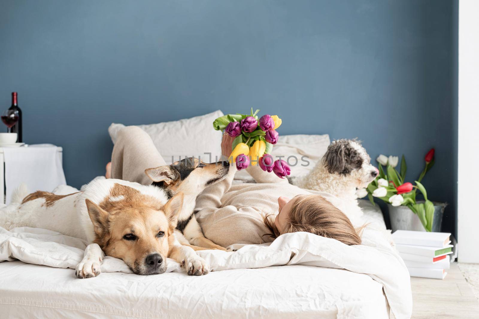 Happy young woman lying in the bed with her dogs by Desperada