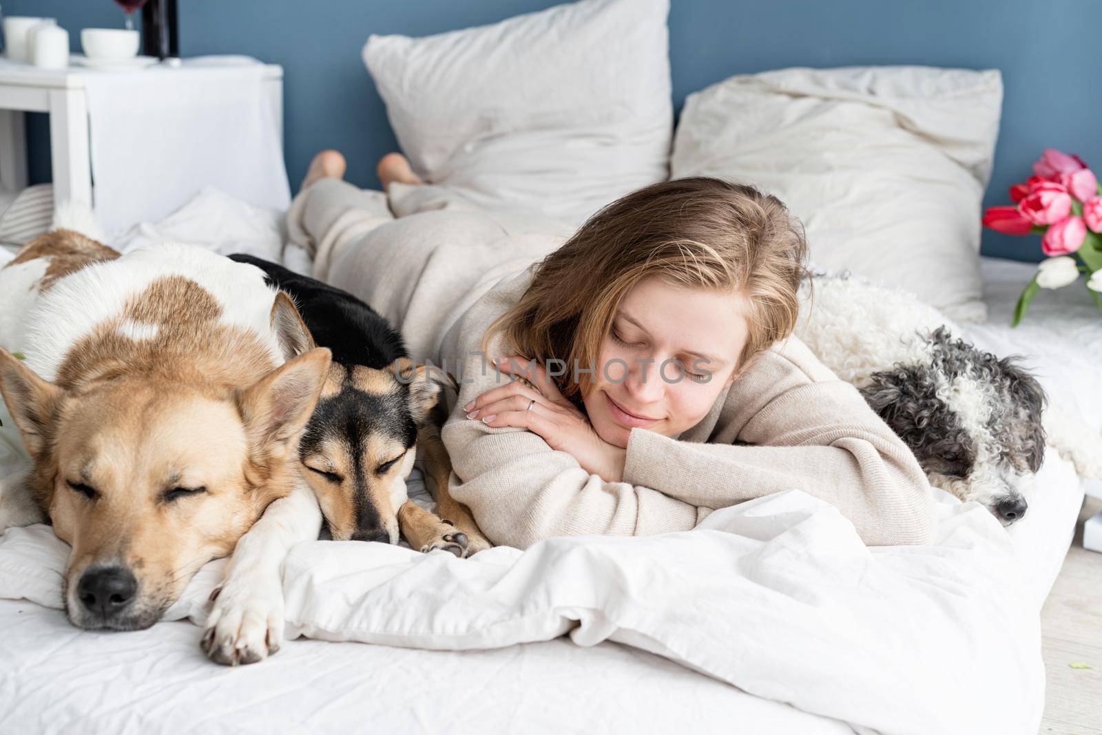 Happy young woman lying in the bed with her dogs, blue wall background