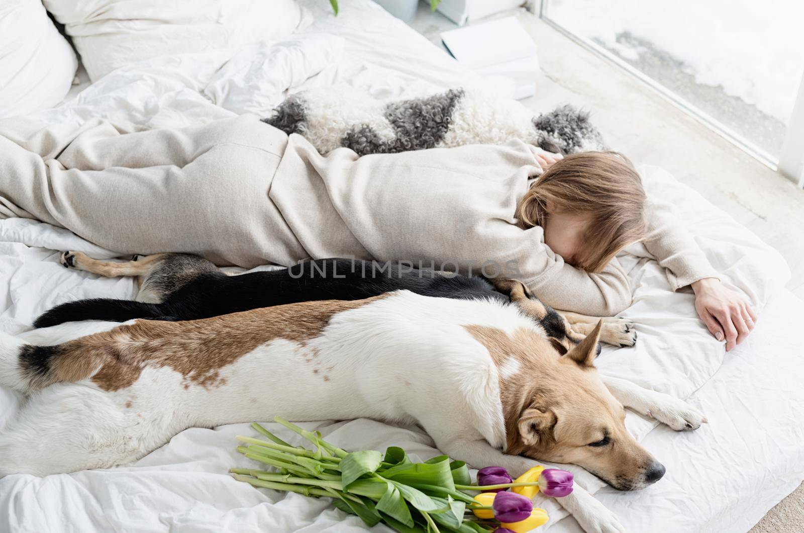Sleeping young woman wearing pajamas lying in the bed with her dogs