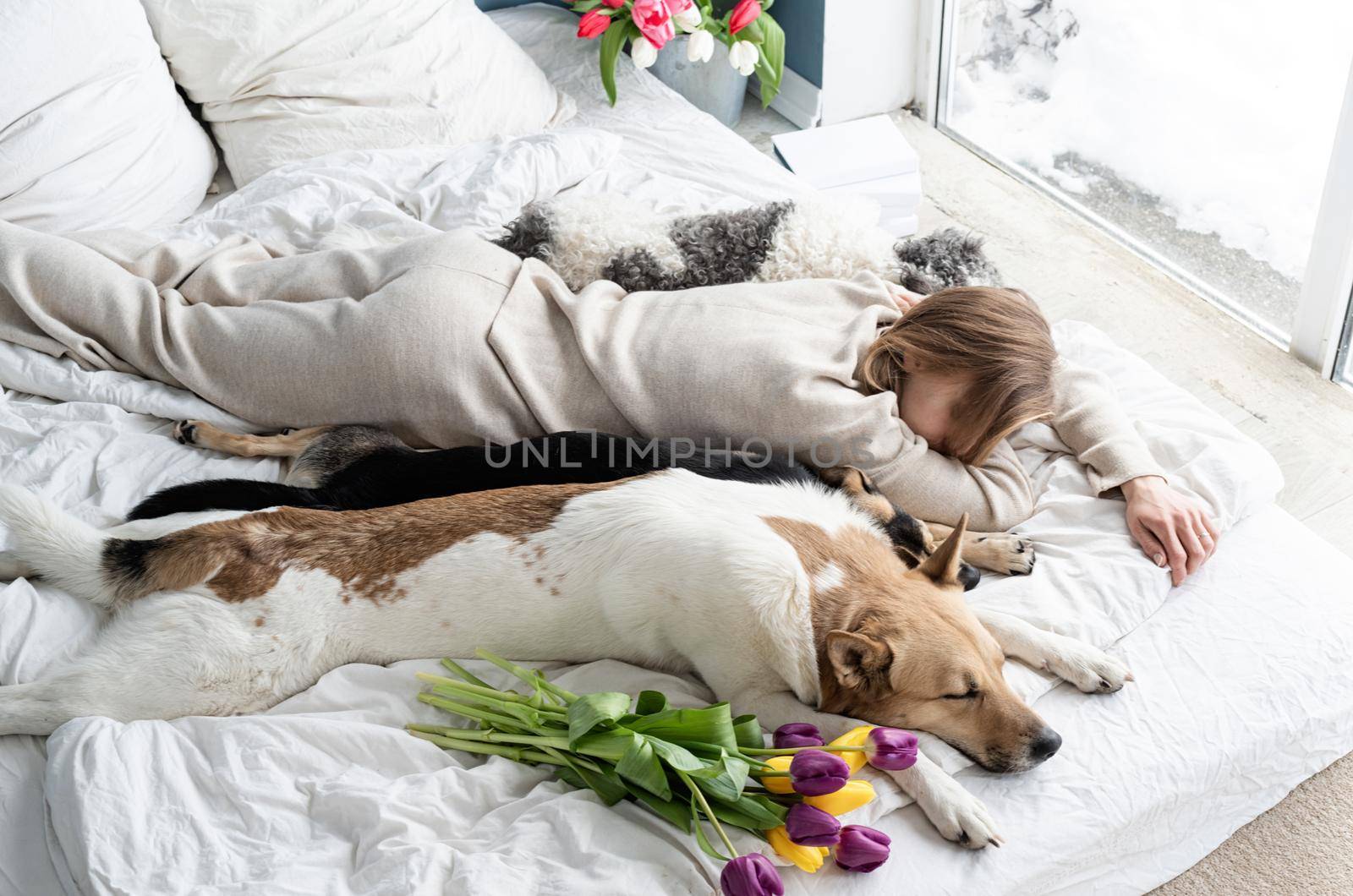 Sleeping young woman wearing pajamas lying in the bed with her dogs