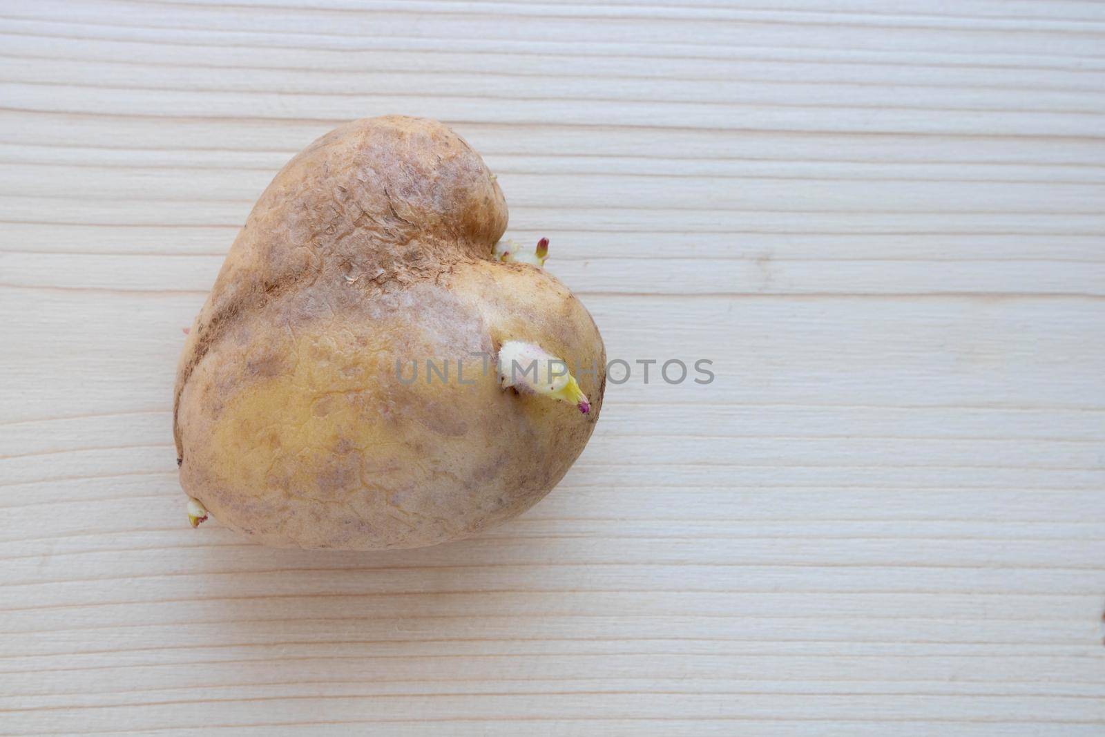 An unusual heart-shaped potato with sprouts lies on a wooden board on the table.