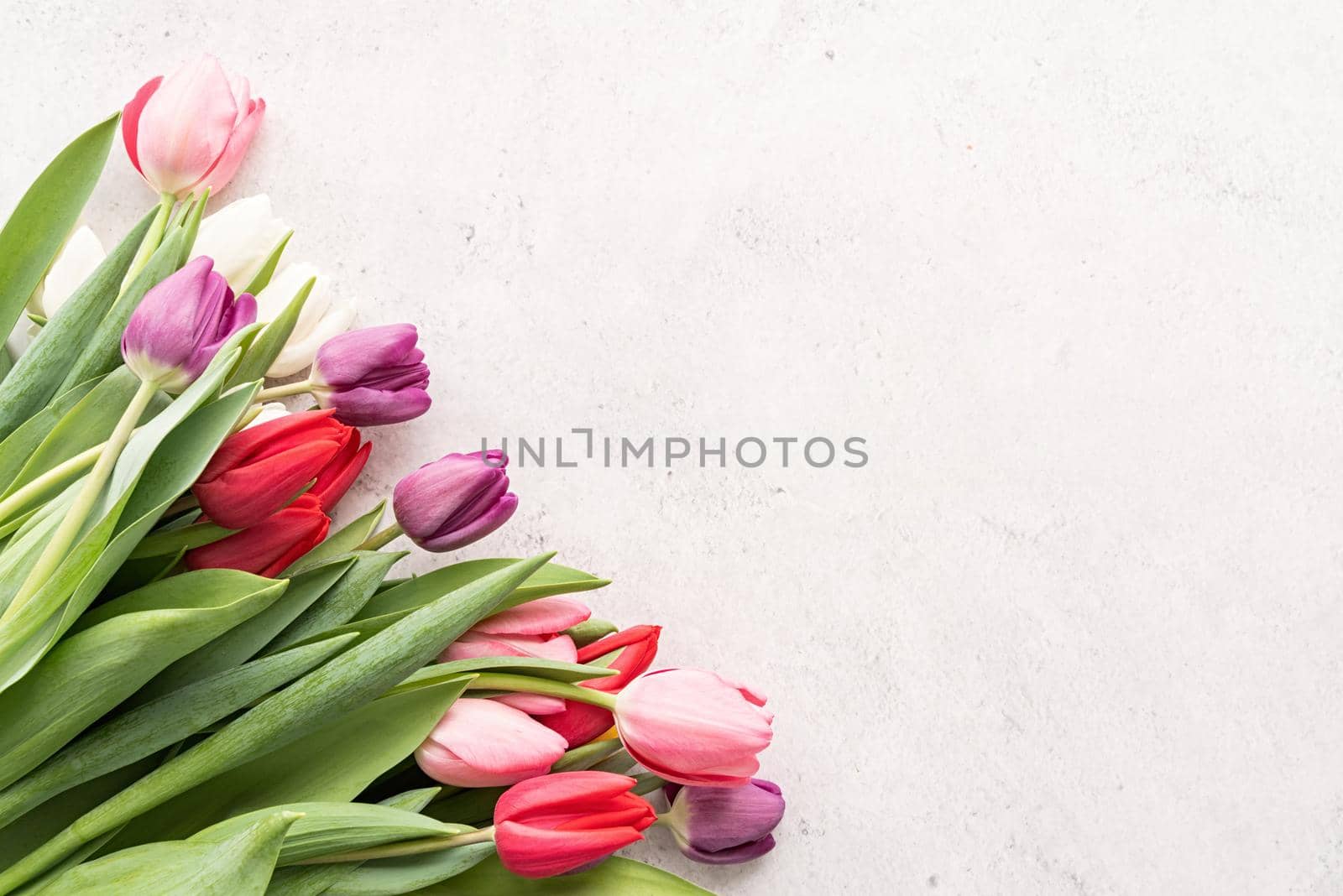 tulip bouquet on white concrete background by Desperada