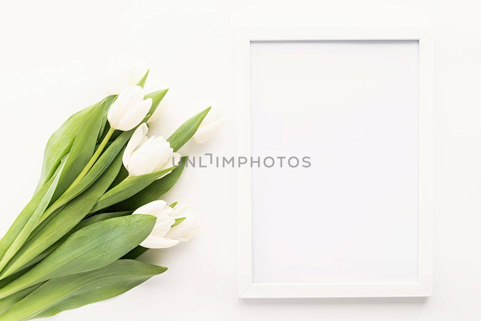 white tulip bouquet and blank frame for mock up design on white background by Desperada