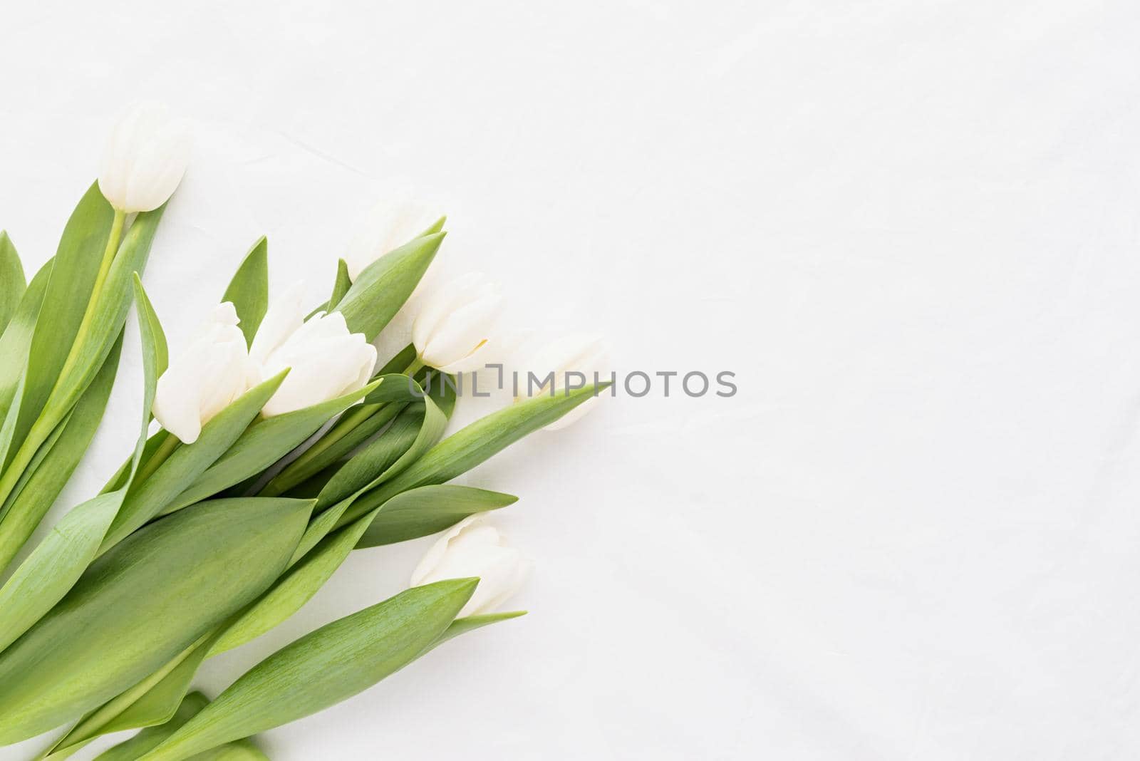 Spring concept. White tulip bouquet on white fabric background for mock up design with copy space