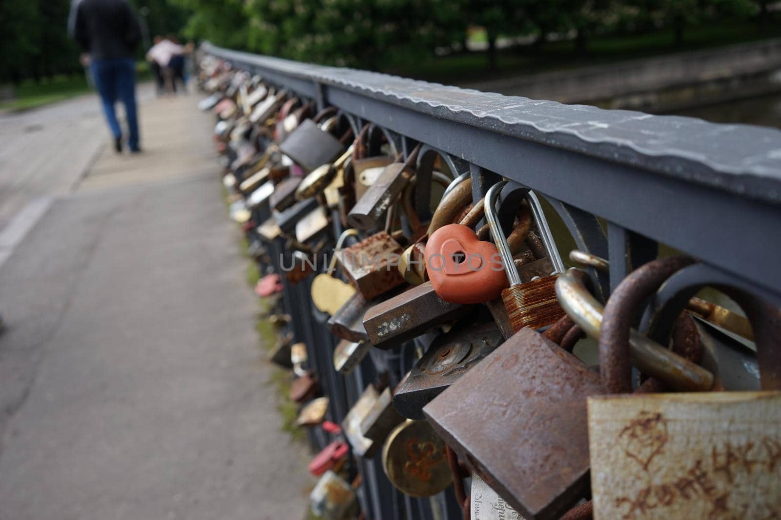 a romantic symbol of love - locks on a bridge in Kaliningrad, the island of Kant