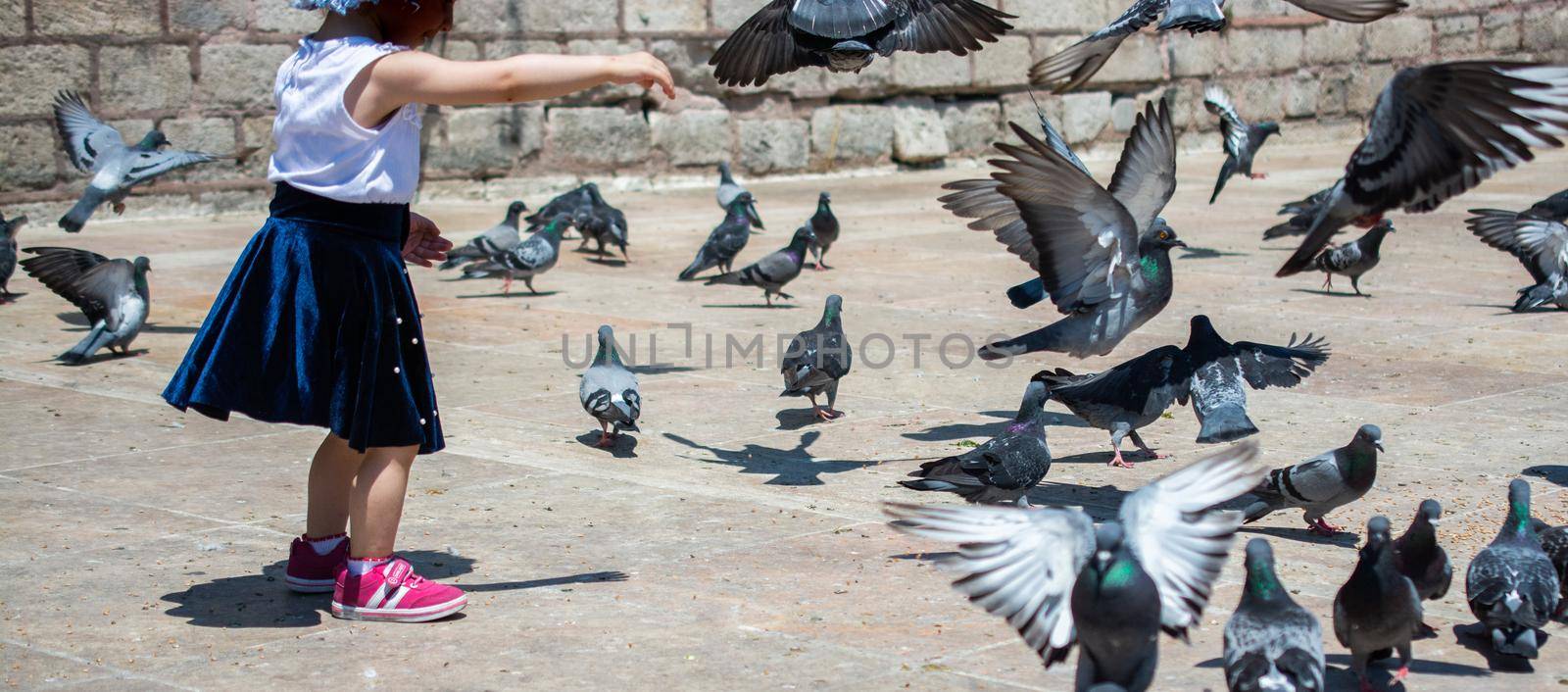 Little kid amid Lovely pigeon birds feed in an urban environment