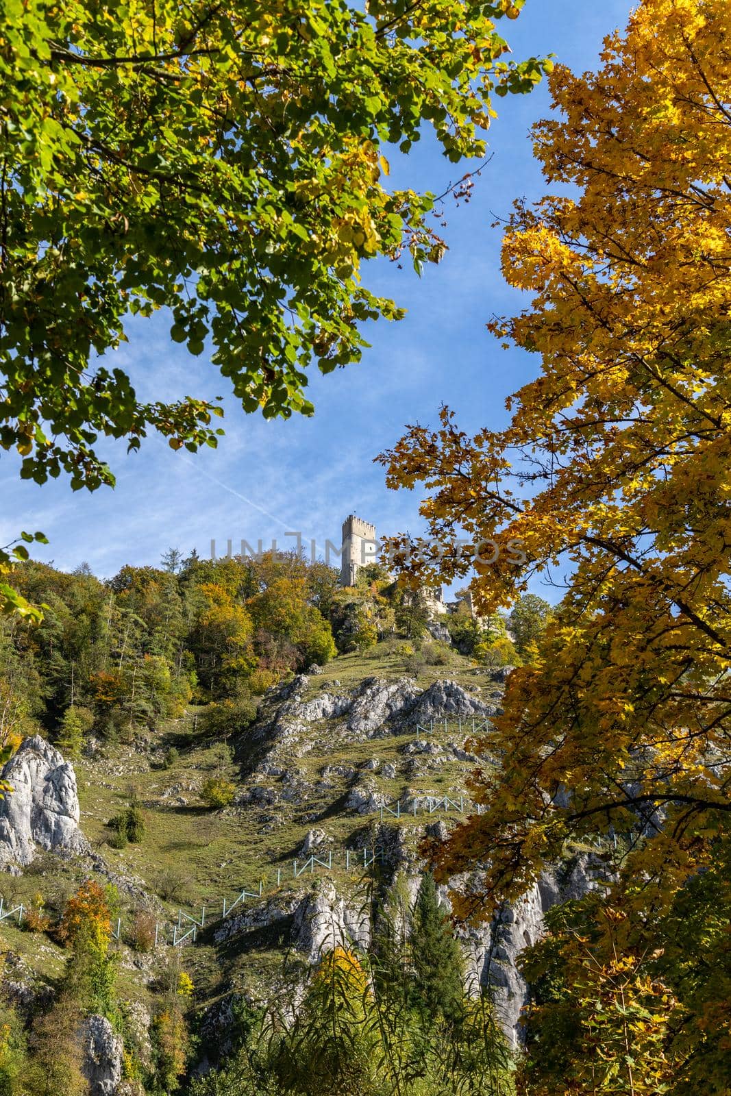 The ruin of Randeck castle in Markt Essing, Bavaria, Germany in autumn with multicolored tree in foreground by reinerc