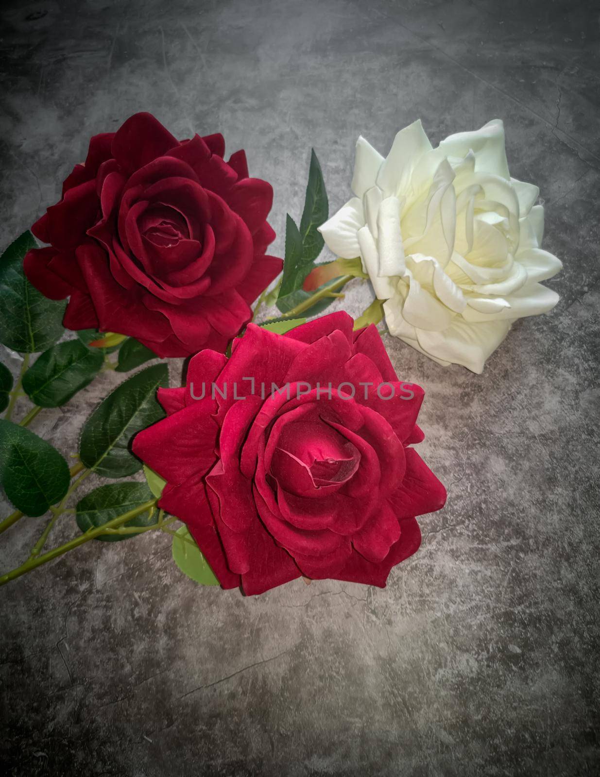 On a dark background, three beautiful artificial roses, two red and one white.