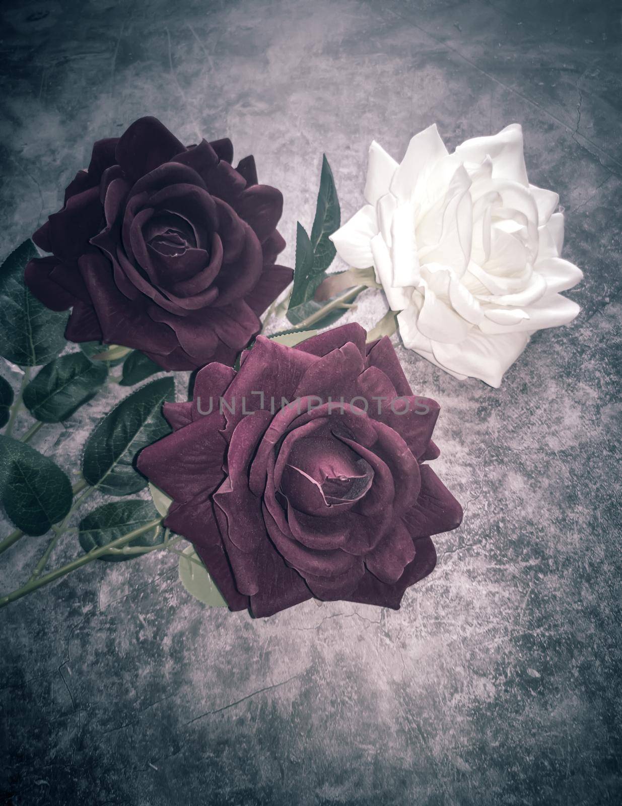 Artificial flowers: three roses on a dark background by georgina198