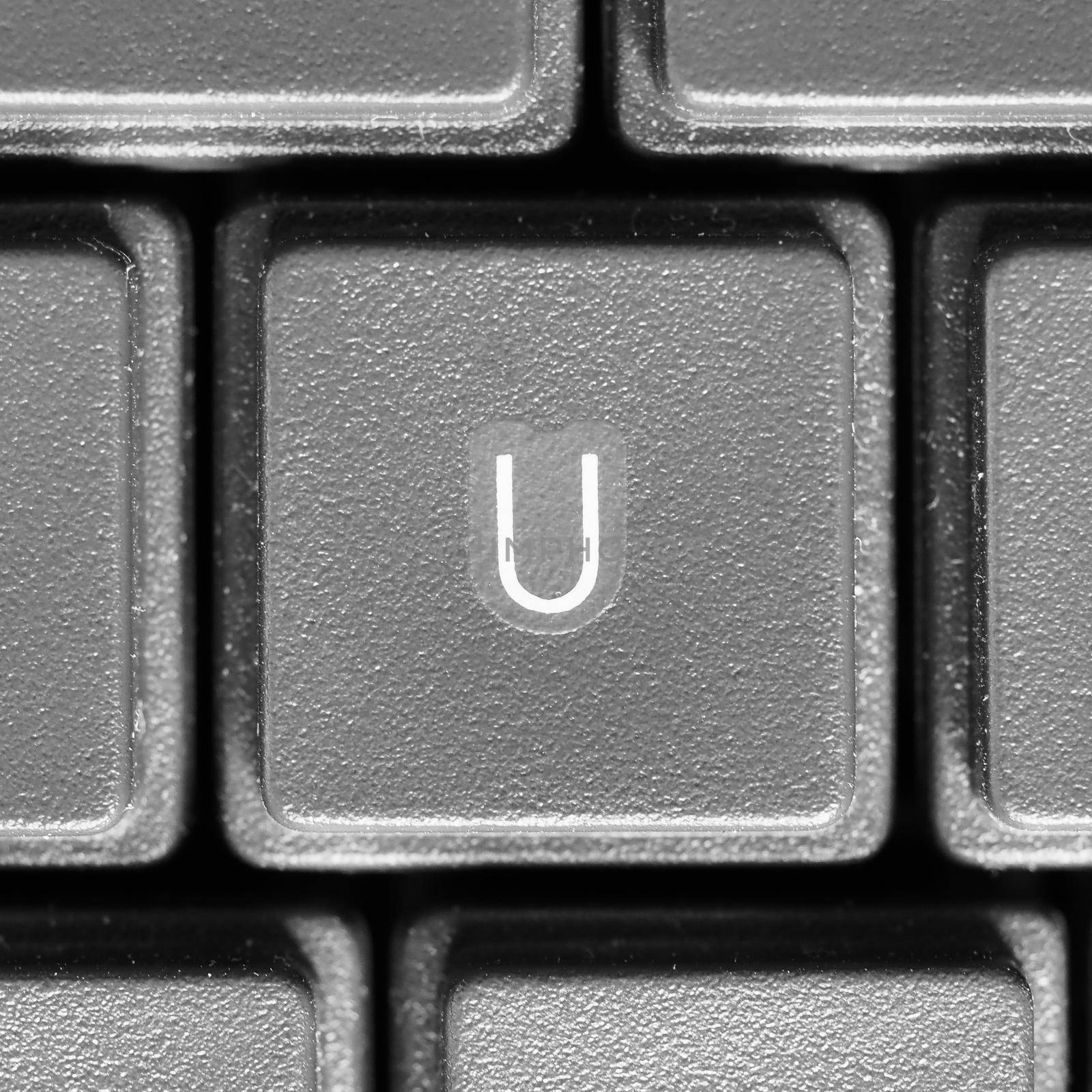 Letter U key on computer keyboard keypad
