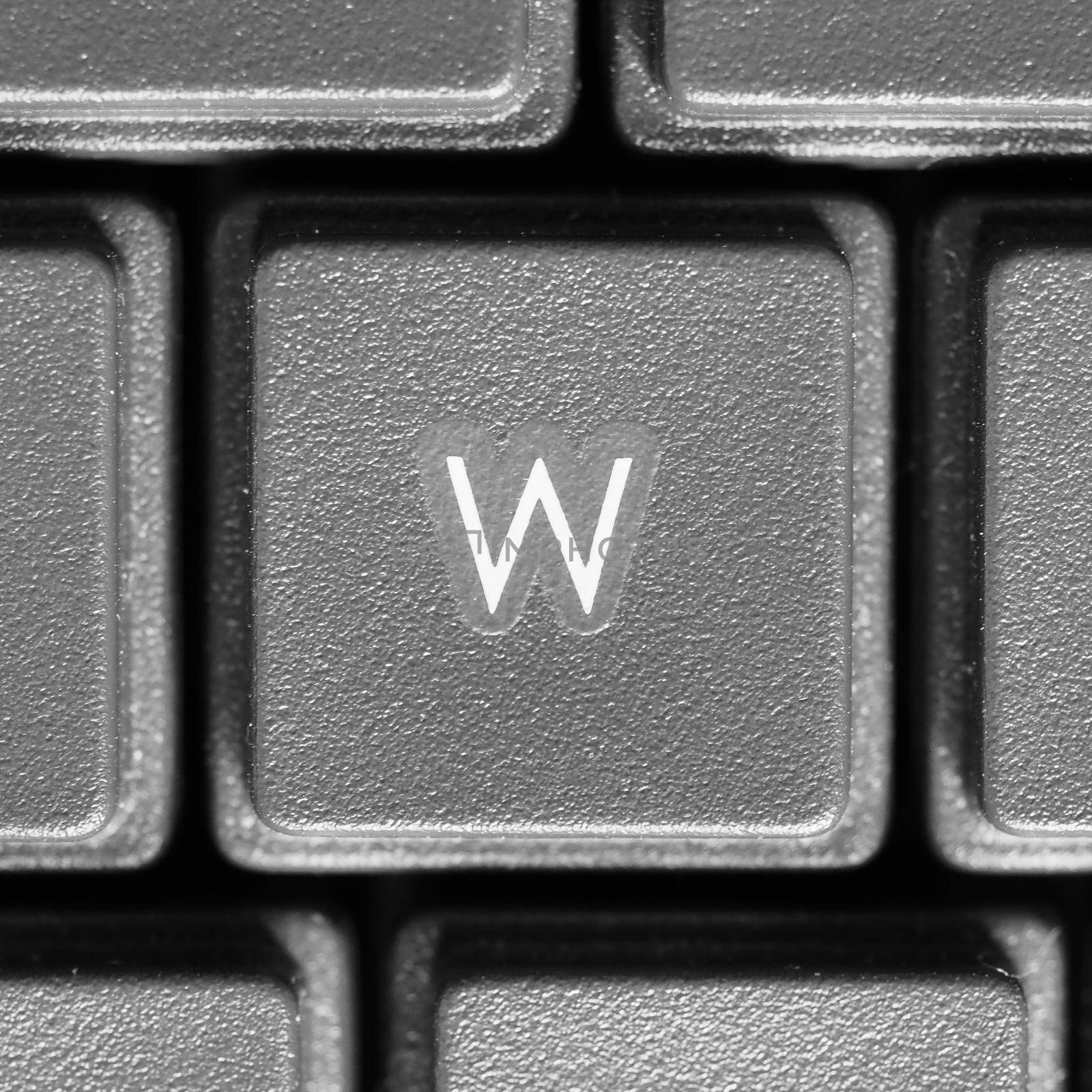 Letter W key on computer keyboard keypad