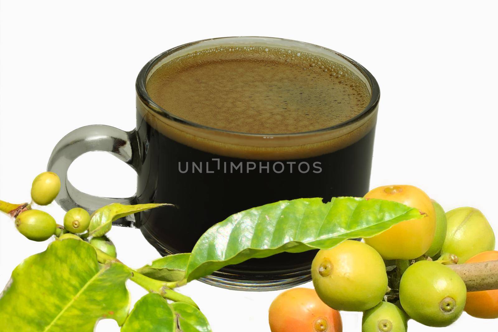 Espresso coffee cup with raw beans isolated on white background.