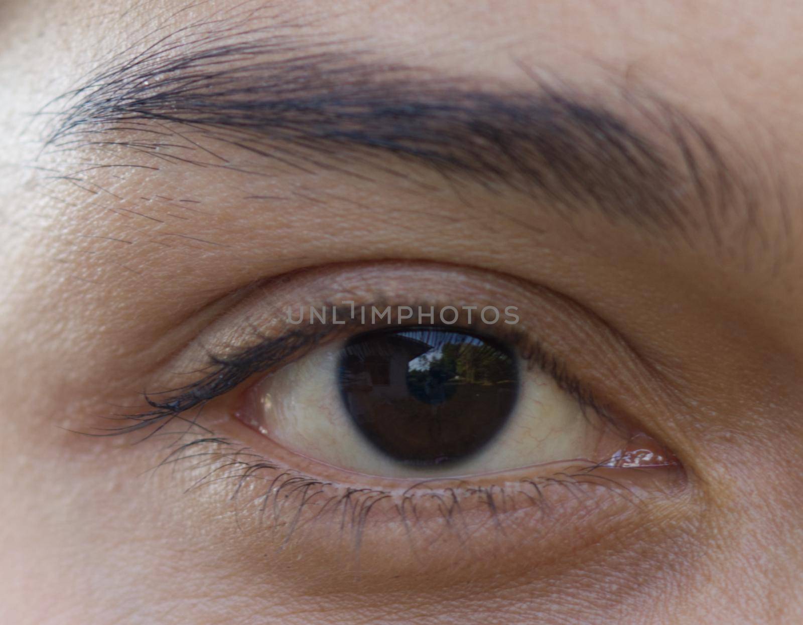 Close up of one eye, young Asian woman has beautiful eyebrows, concept of treatment of capillary iris. by noppha80