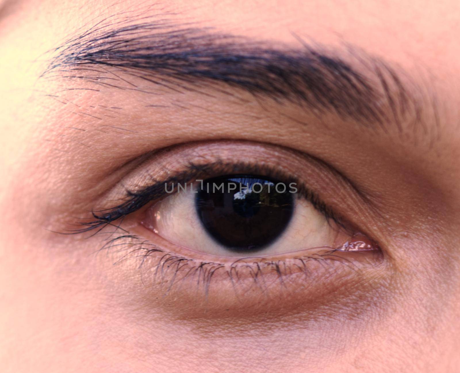 Close up of one eye, young Asian woman has beautiful eyebrows, concept of treatment of capillary iris. by noppha80