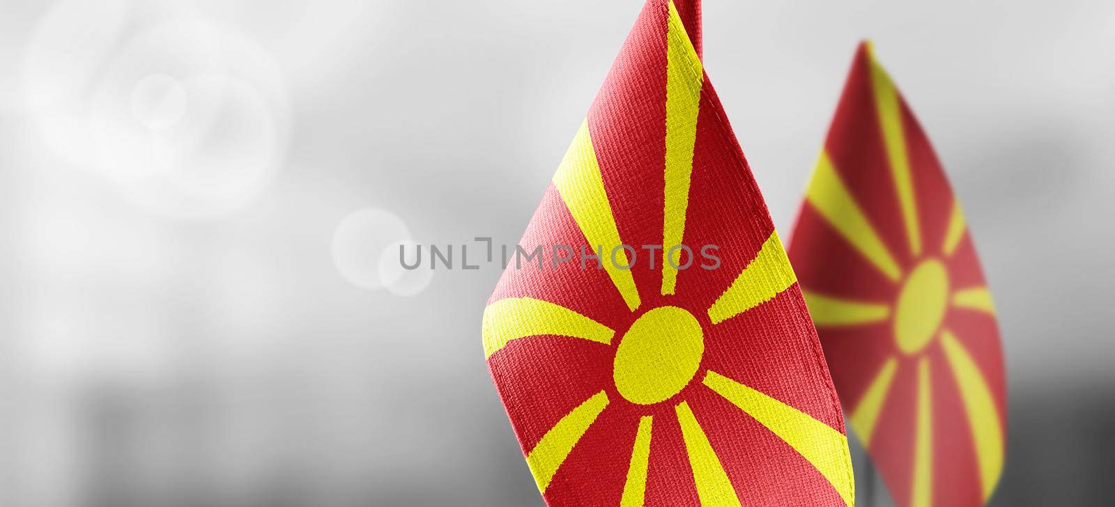 Small national flags of the Macedonia on a light blurry background.