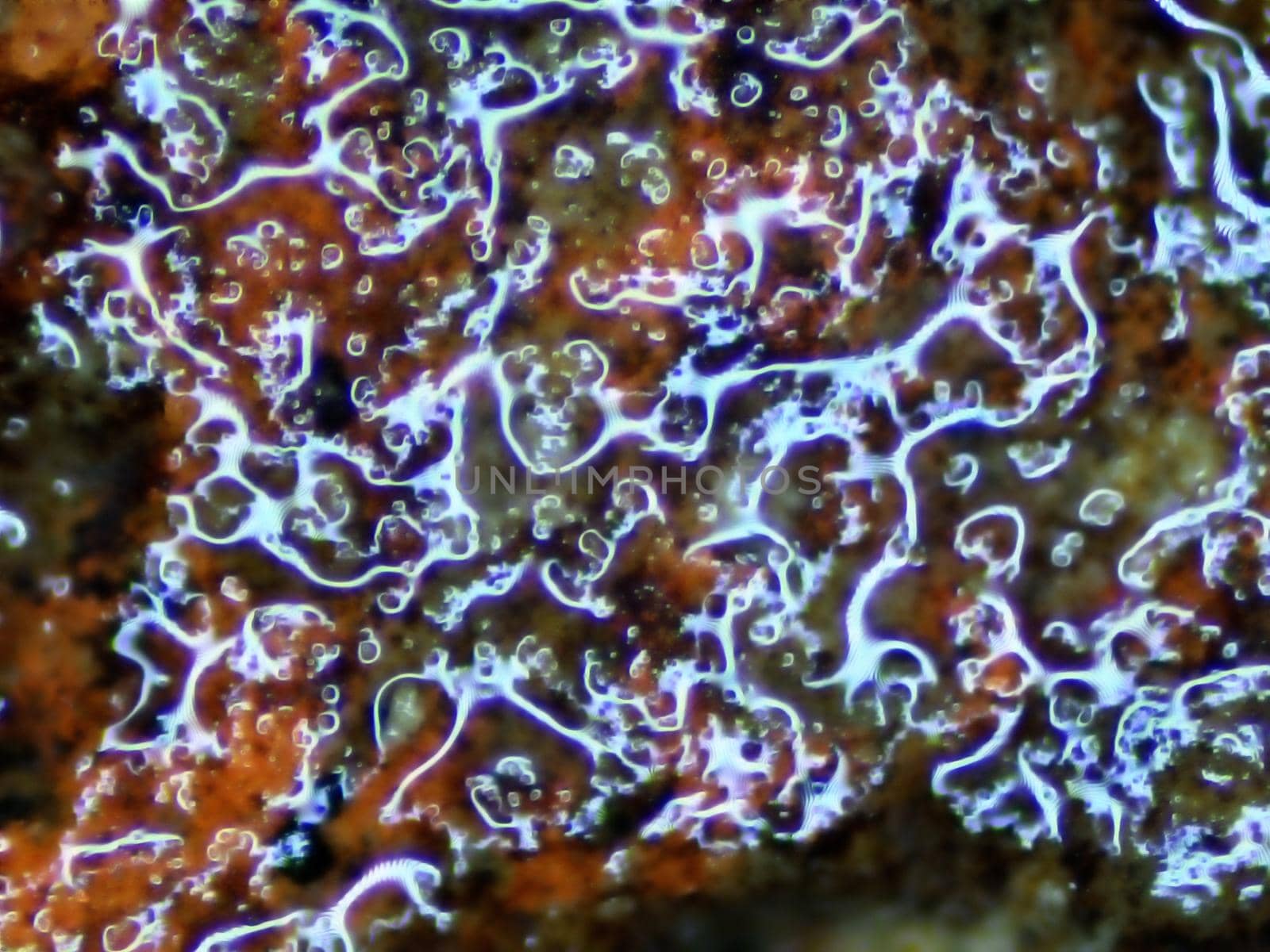 light reflexions of a wet stone in a macro