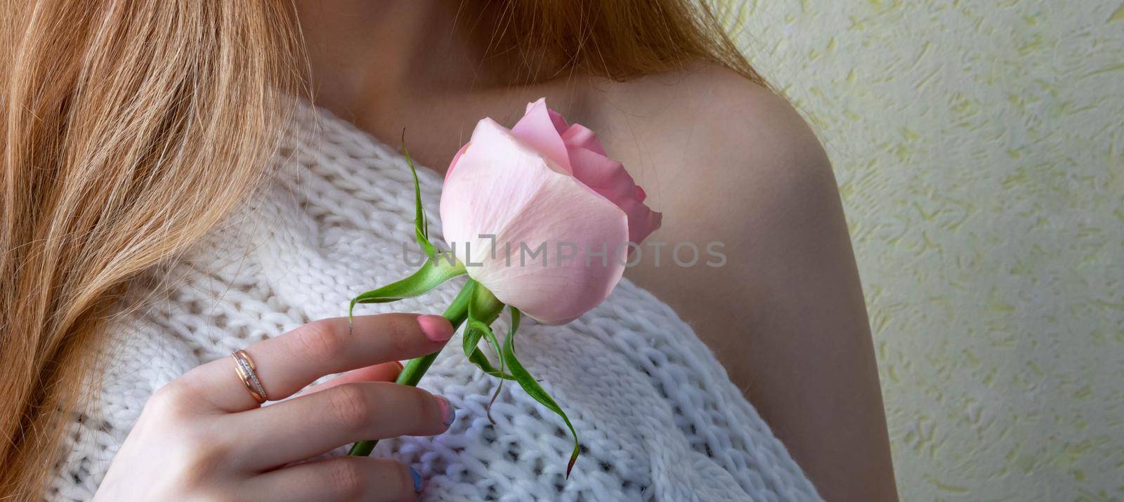 Hands of a young girl holding a pink rose.