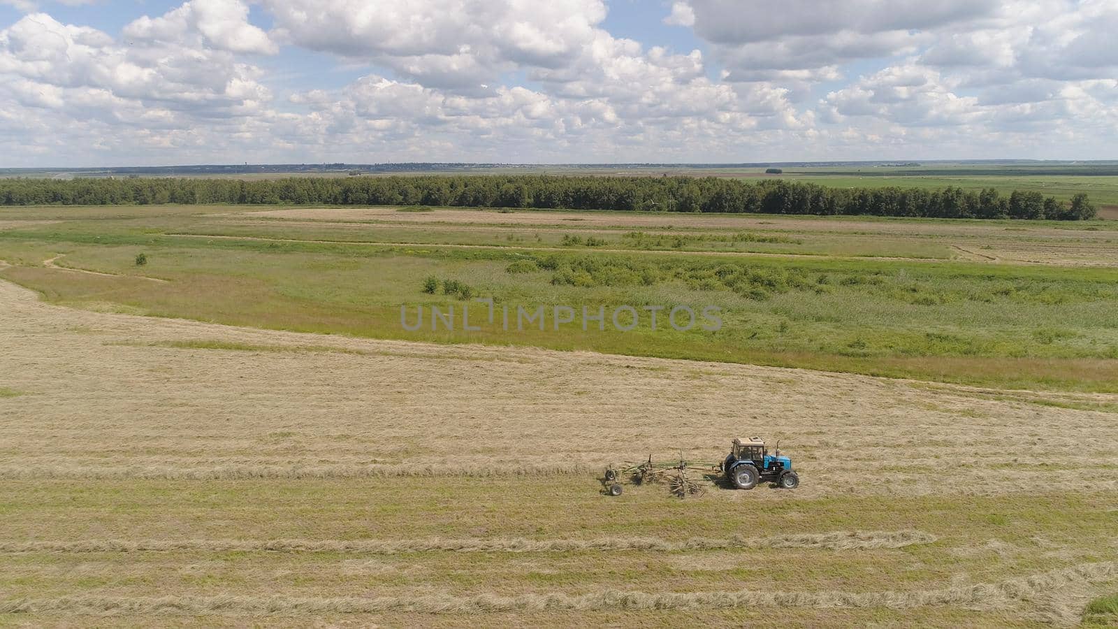 Aerial, view agricultural machinery with wheeled rake makes ranks beveled hay.Tractor which is lining up dried grass getting it ready for pickup so it can be used as animal fodder summer day.