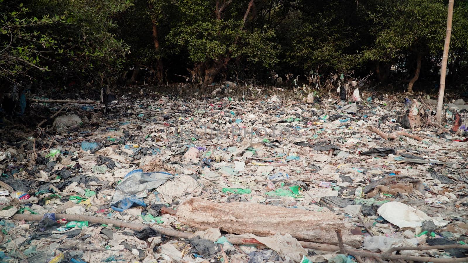 Garbage environmental pollution in mangrove ecological problem in asia. garbage, trash on shore in mangroves, all kinds, plastic bottles, styrofoam, rubber, aluminum and glass cans, java, indonesia.Garbage pollution