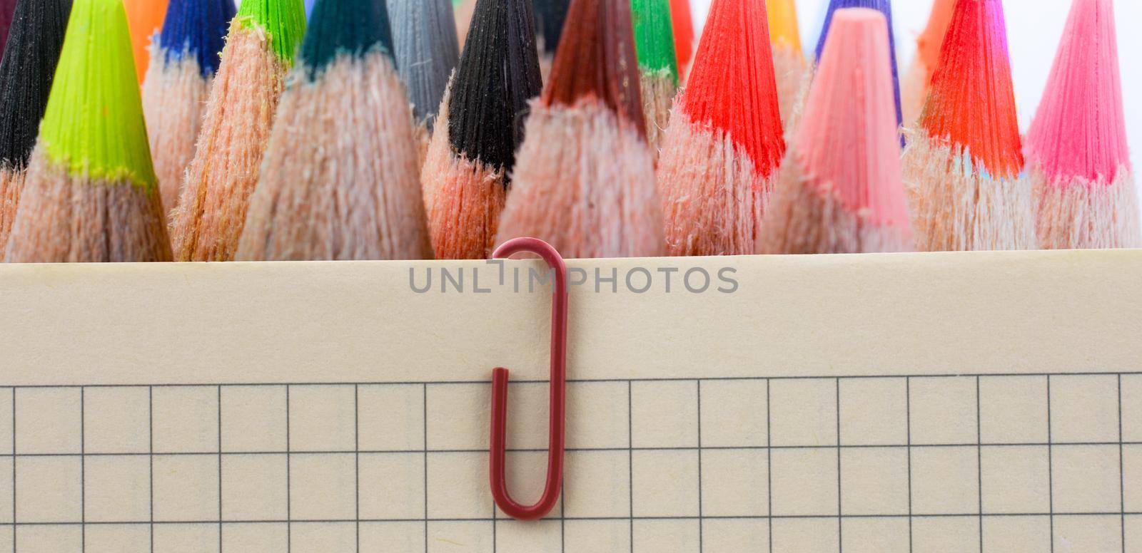 Color pencils of various color on white background by berkay