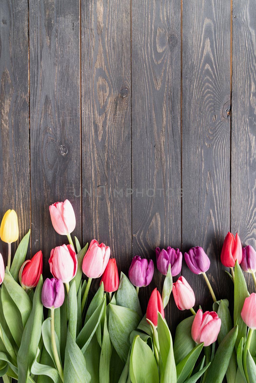 Spring, flowers concept. colorfull tulips over black wooden table background, copy space
