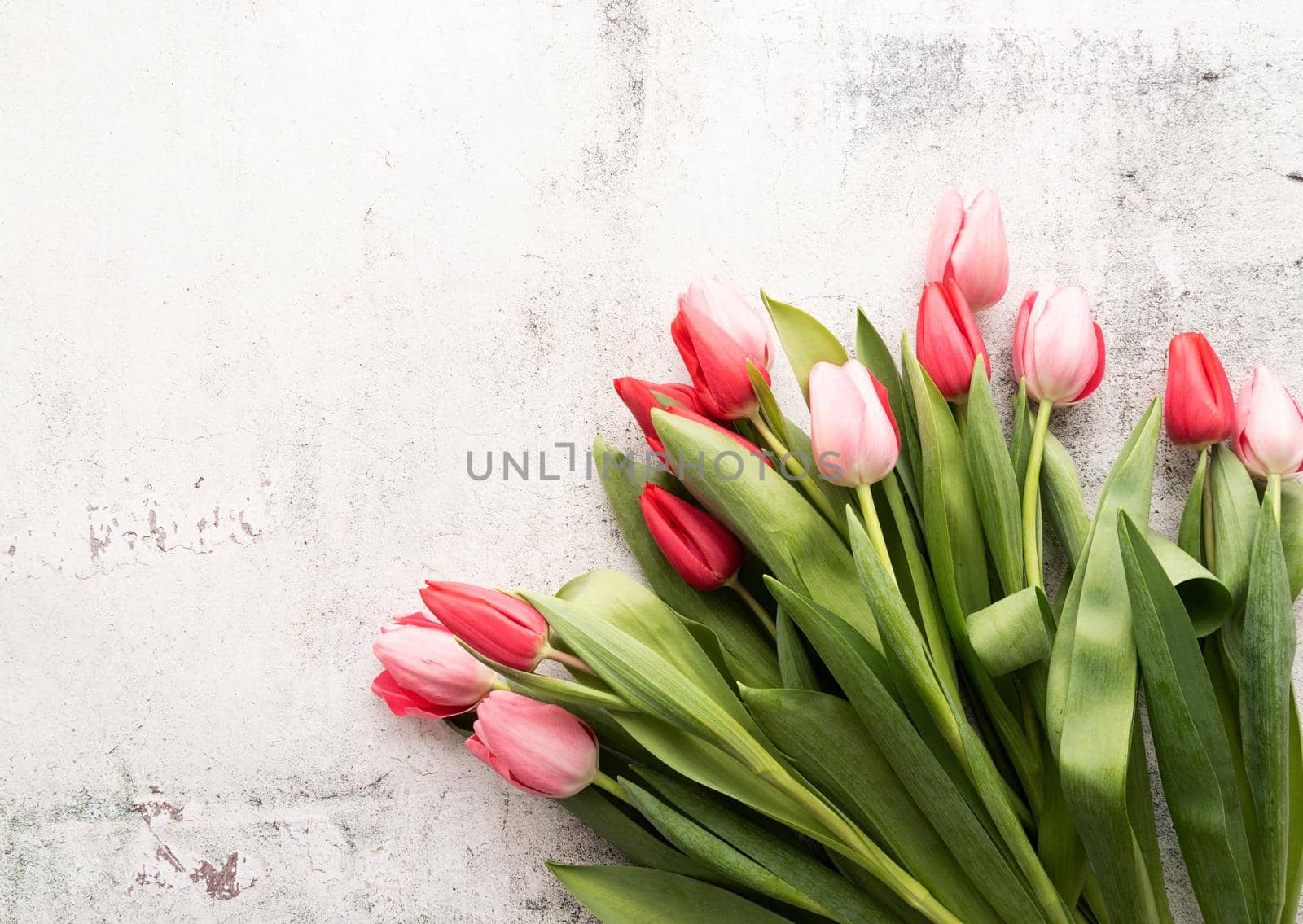 Pink and red tulips bouquet top view on concrete background, flat lay, copy space