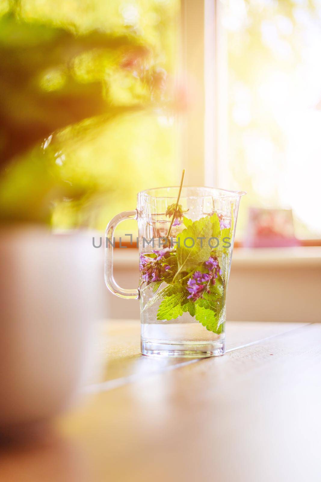 Cold refreshing water jar in summer: Tasty lemonade with herbs, multi colored by Daxenbichler