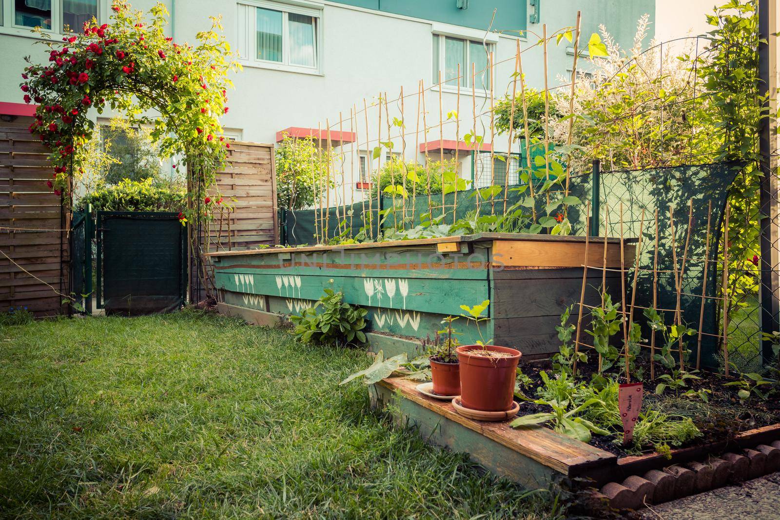 Little garden with green grass and flowers for having good times, summertime