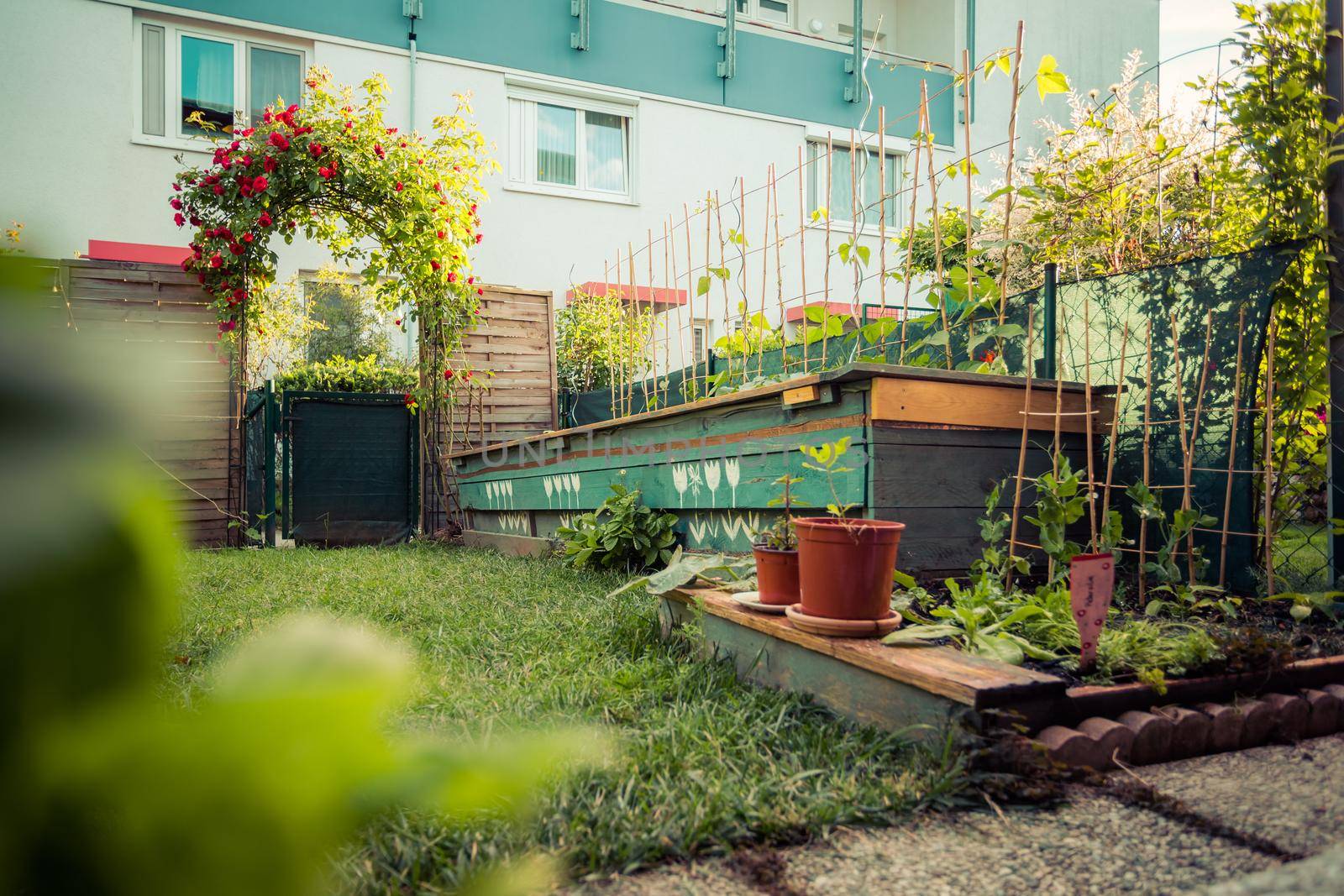 Little garden with green grass and flowers for having good times, summertime