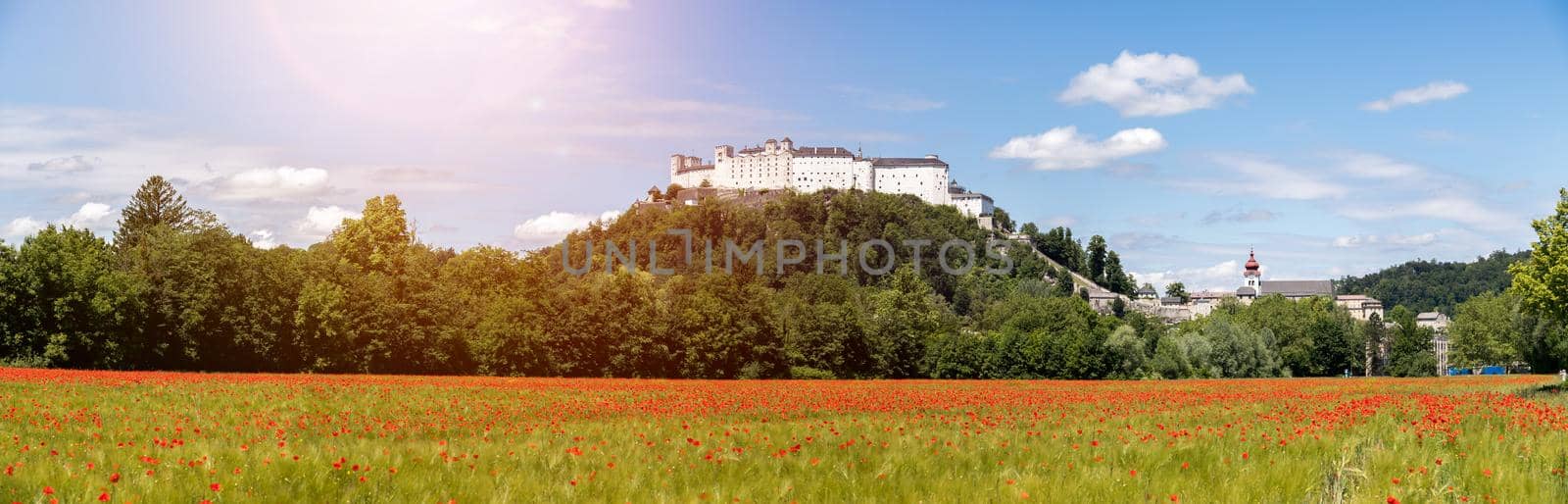 Festung Hohensalzburg in Summer. Blooming red poppy field and blue sky by Daxenbichler