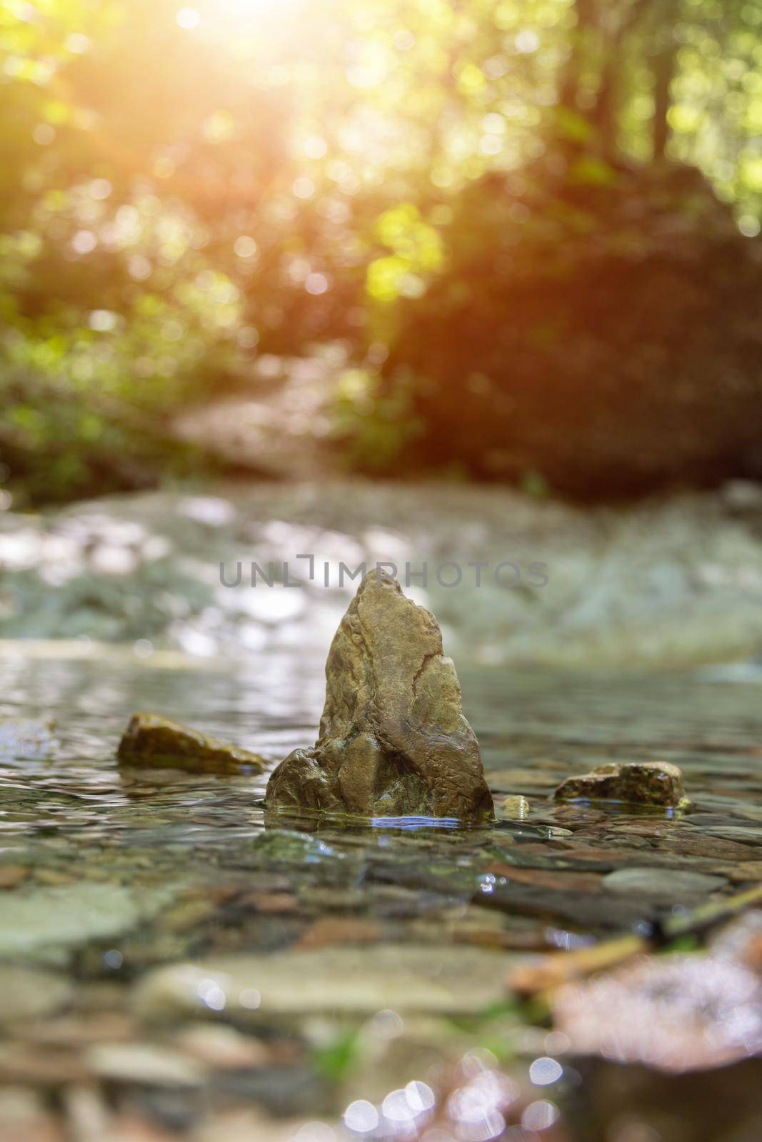 Spirituality and nature concept: Small stone in the fresh and clean water of a mountain creek by Daxenbichler