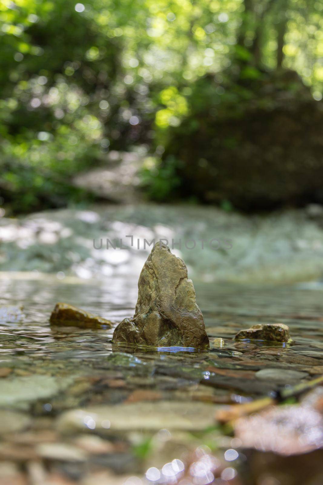 Spirituality and nature concept: Small stone in the fresh and clean water of a mountain creek by Daxenbichler