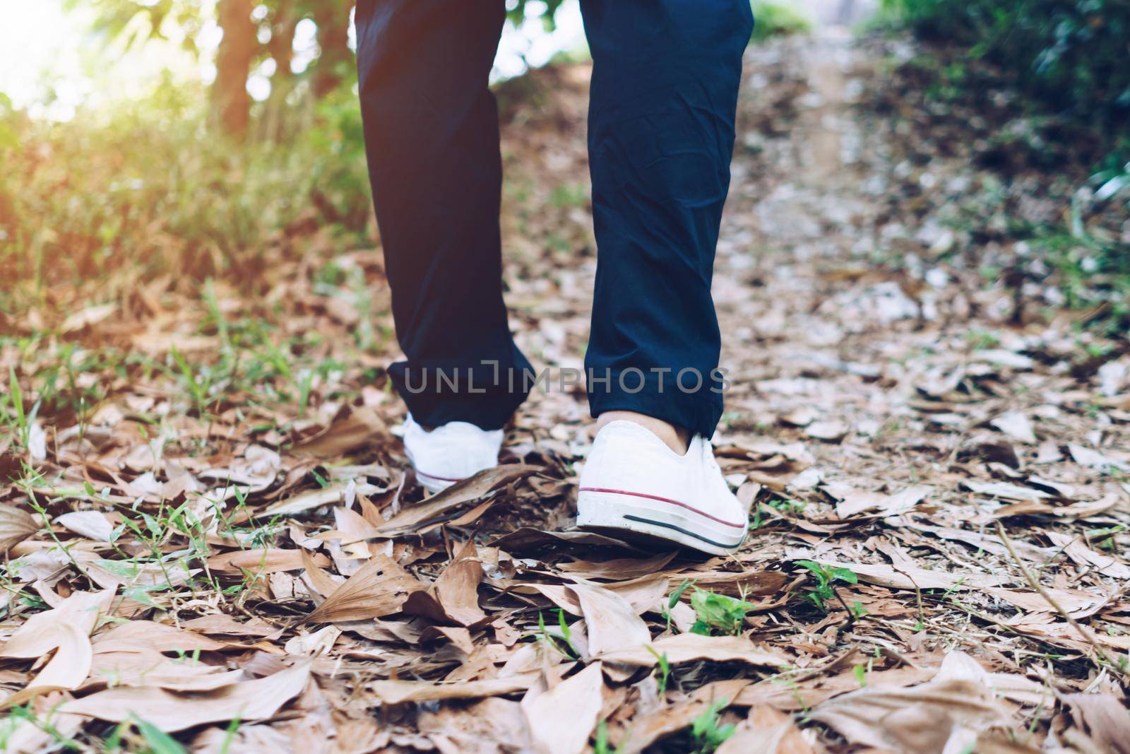 Man is walking into the wood or jungle nature walk way with sunlight.Slow life lifestyle and exercise.