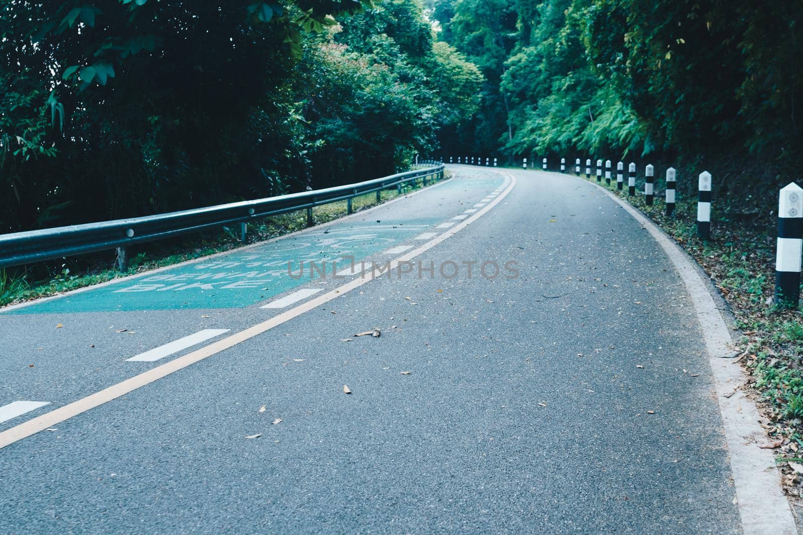 Road with bicycle lane in the country with nature surrounding background.