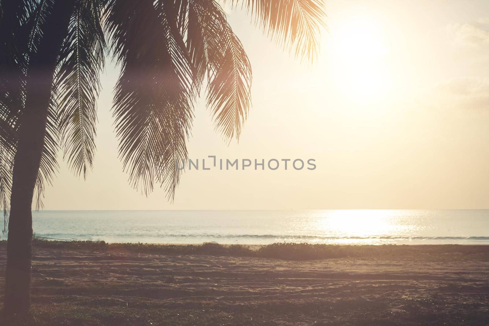 Tropical nature clean beach sunset sky time with sun light background.