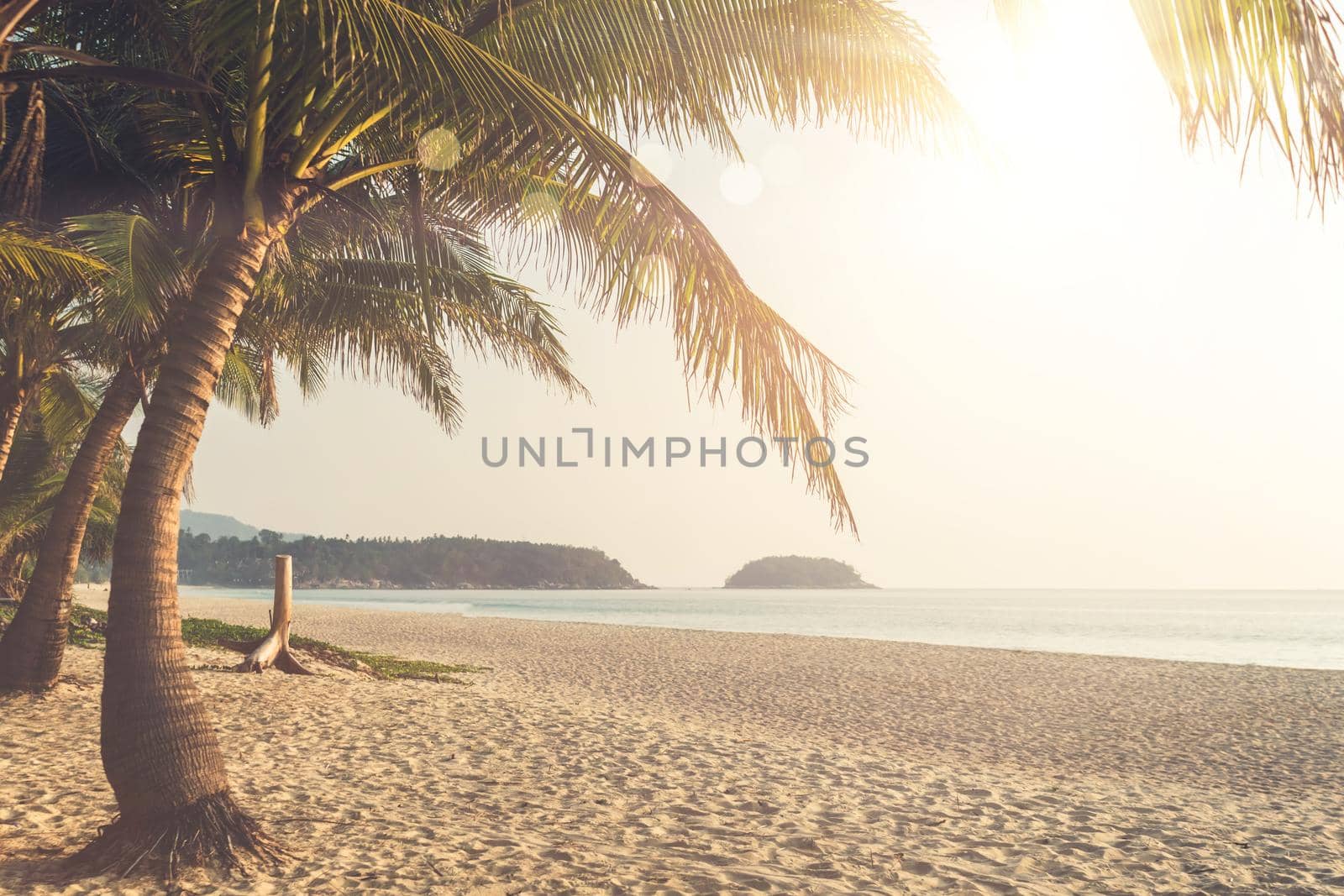 Tropical nature clean beach sunset sky time with sun light background.