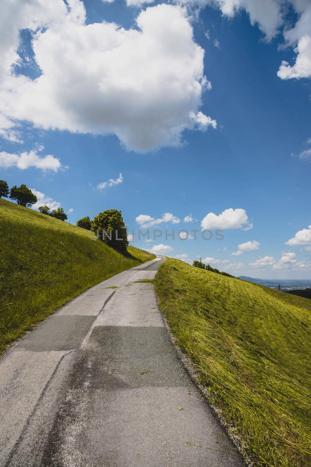Asphalted steep mountain road on an Austrian mountain. Blue sky and green meadow, summer time by Daxenbichler
