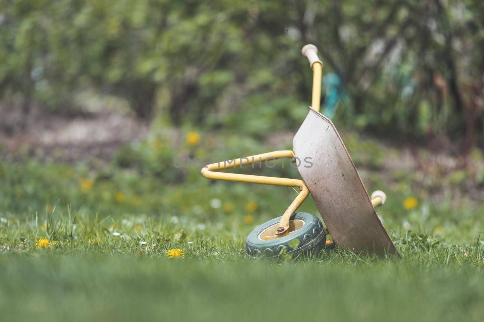 Tipped child hand barrow in green garden