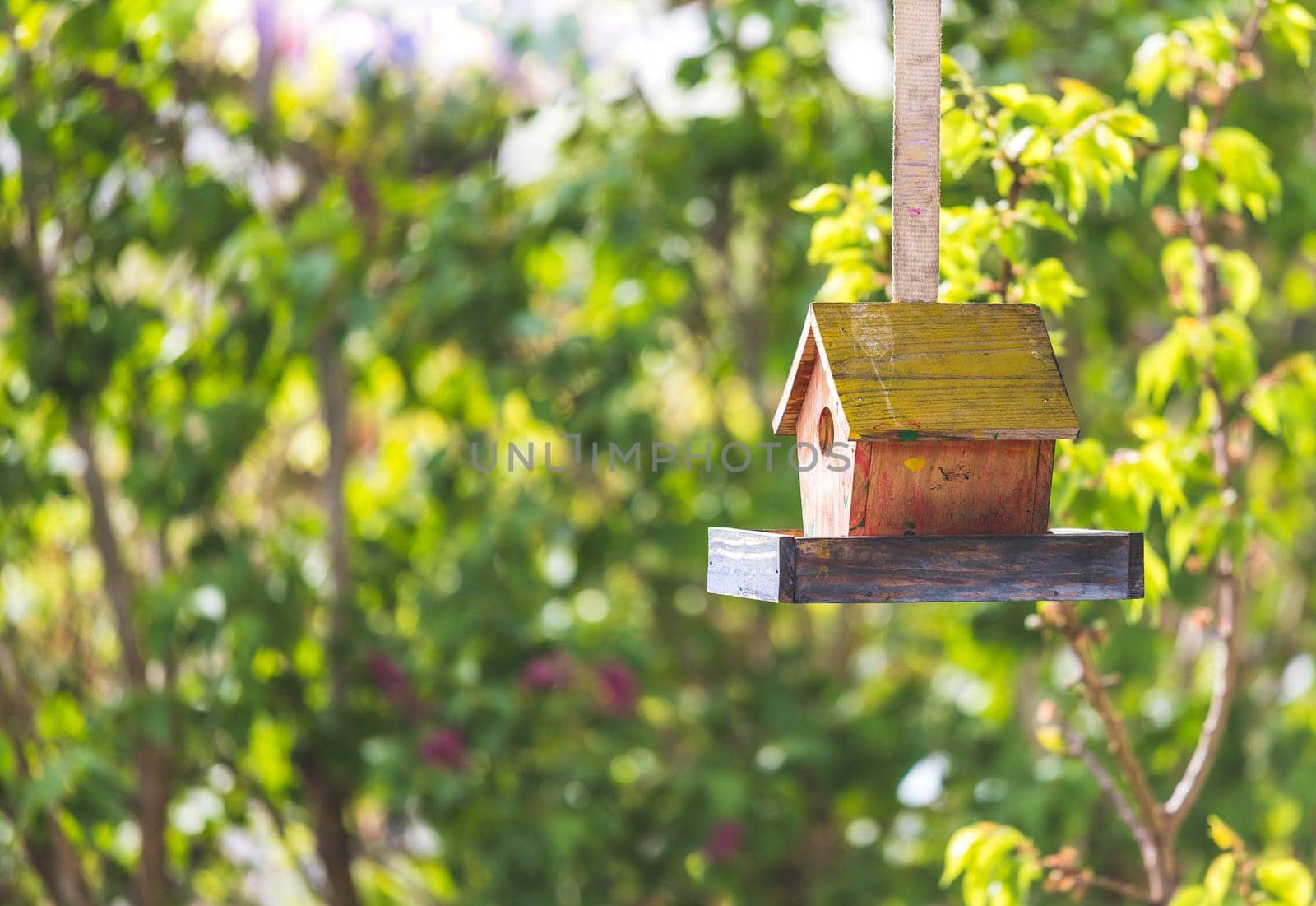 Close up of colorful wooden birdhouse hanging in the own garden, summertime