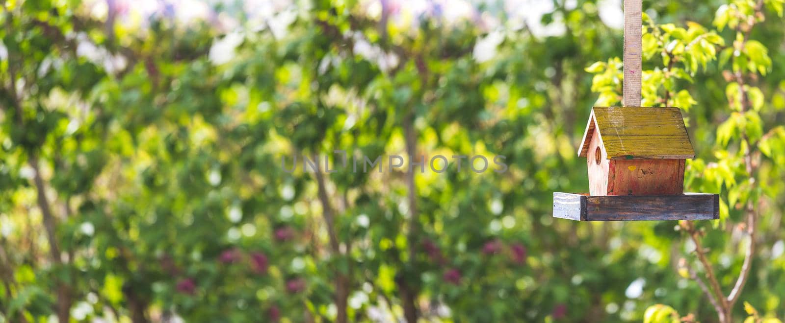 Close up of colorful wooden birdhouse hanging in the own garden; summertime. Widescreen.