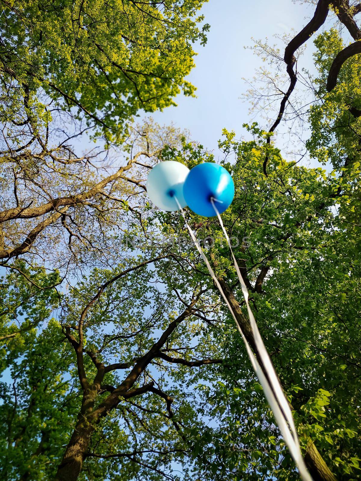 Low angle shot of helium balloons in the park on the background of trees. The freedom concept by wektorygrafika
