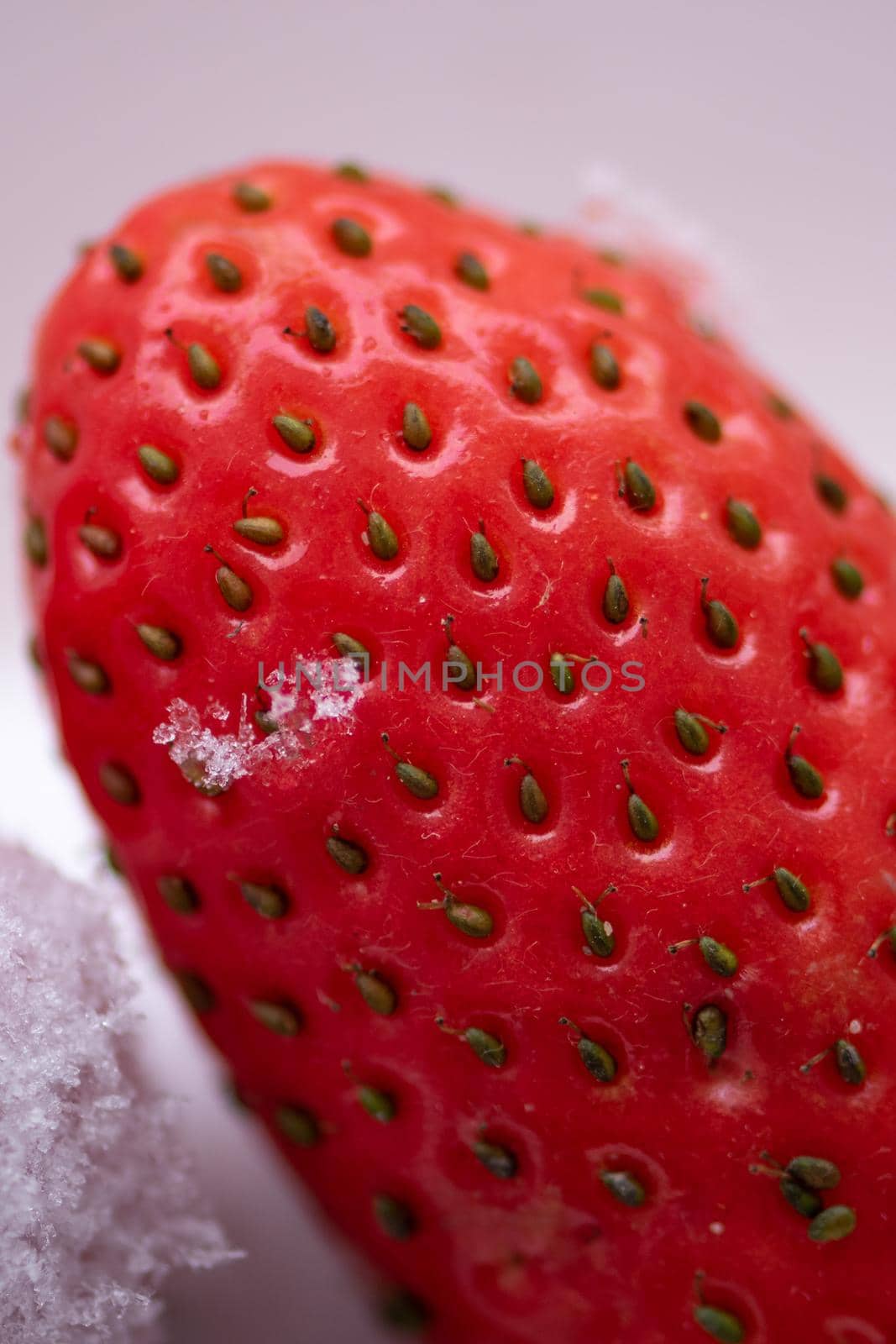 Macro view of the seeds of the ripe red strawberry and a piece of ice on it on a white background by wektorygrafika