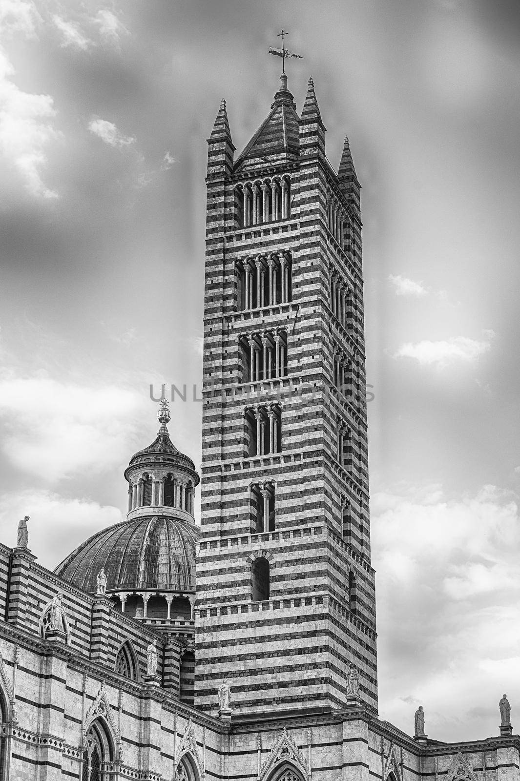 Belltower of the gothic Cathedral of Siena, Tuscany, Italy by marcorubino