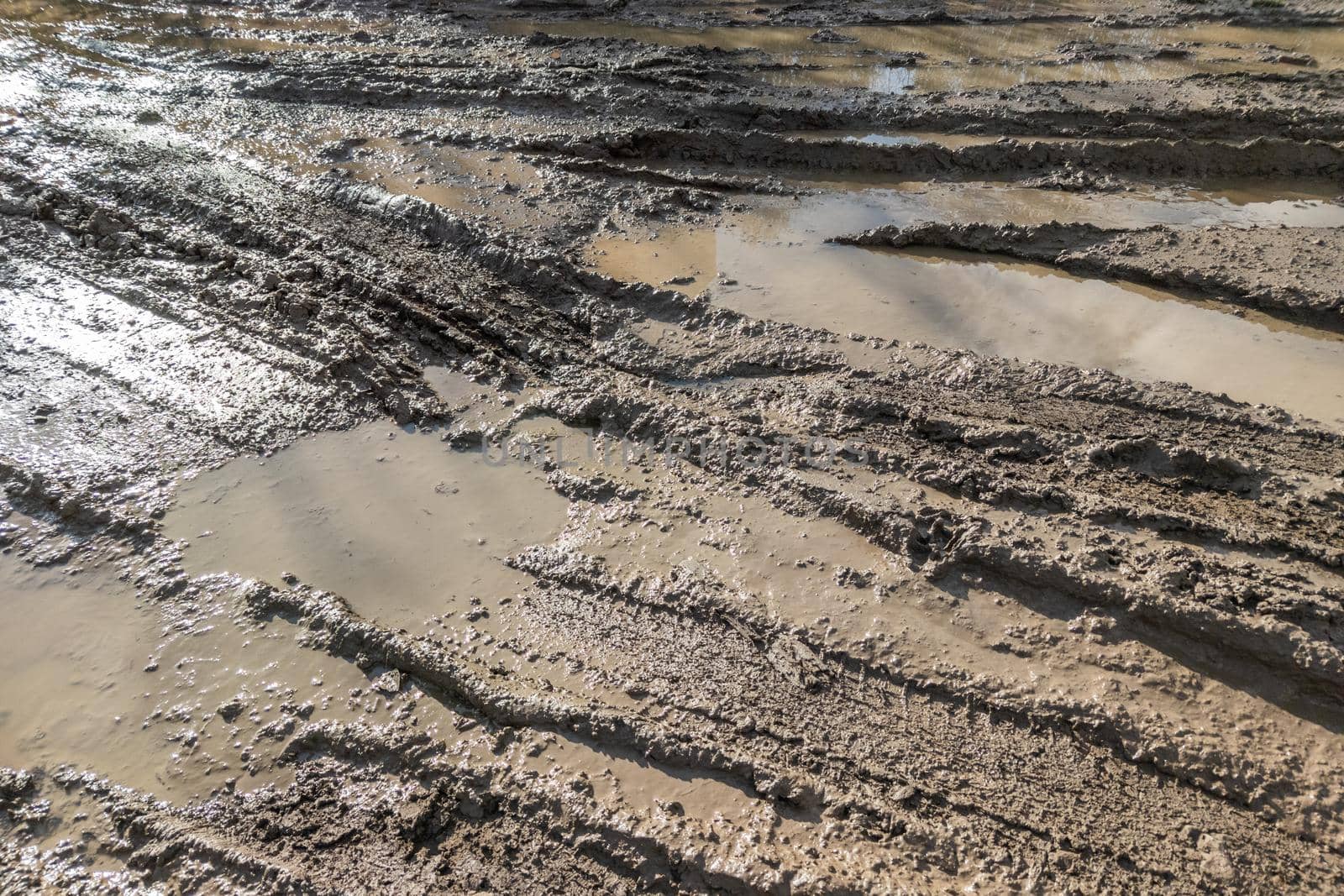 dirty wet clay mud road with tire tracks and puddles at day time - full frame background with hard sun light